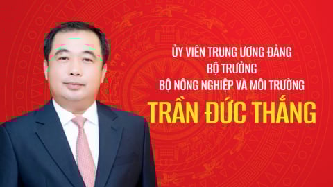 Tóm tắt tiểu sử Bộ trưởng Nông nghiệp và Môi trường Trần Đức Thắng