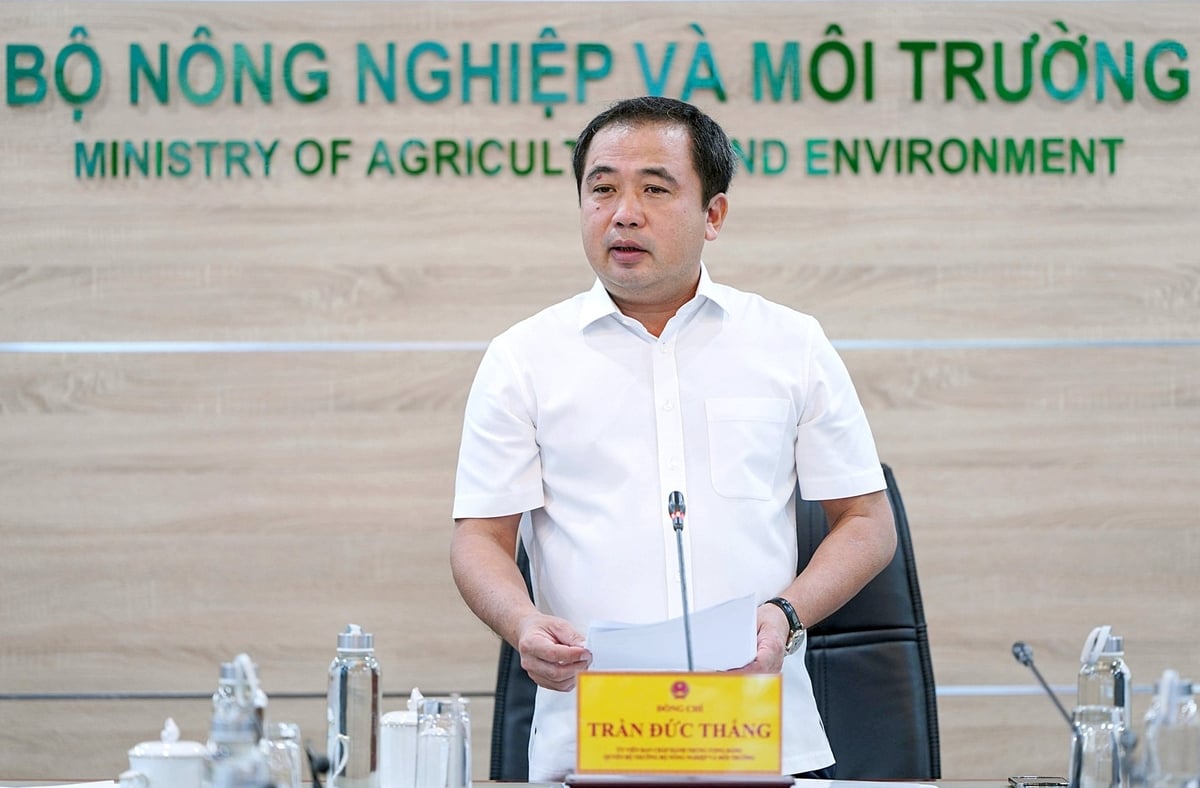 Sản xuất lúa gạo cần liên kết và chiến lược dài hạn