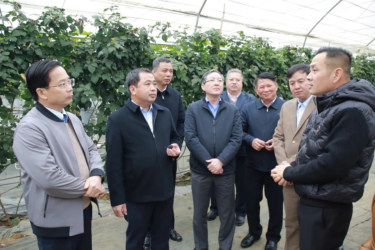 Bộ trưởng Trần Đức Thắng gỡ vướng cho HTX nông nghiệp ở Mộc Châu