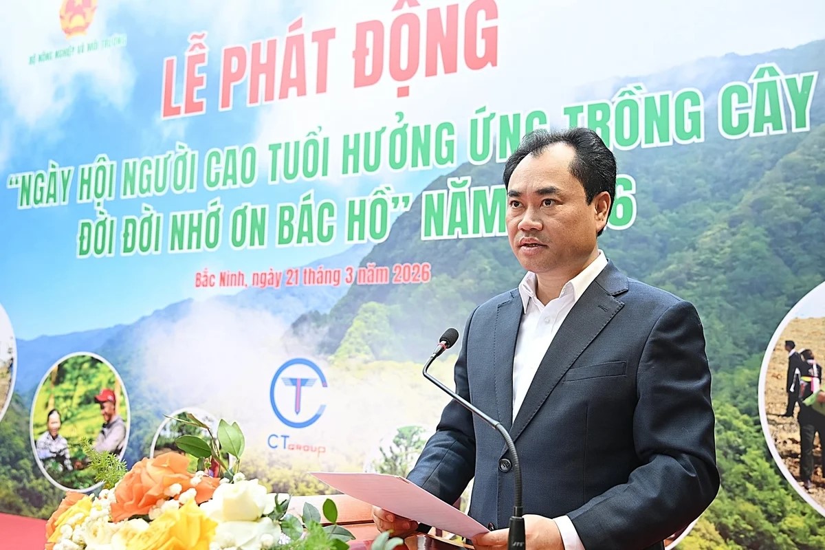 Lan tỏa phong trào người cao tuổi trồng cây