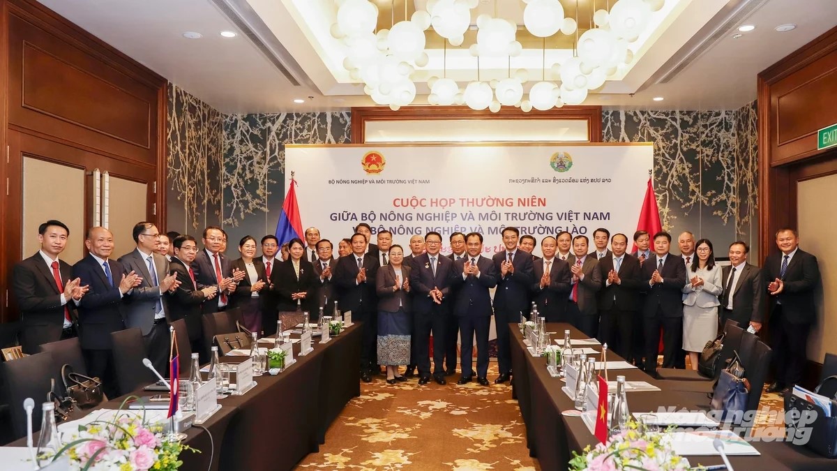 Việt Nam - Lào tăng cường hợp tác theo hướng thực chất, bền vững